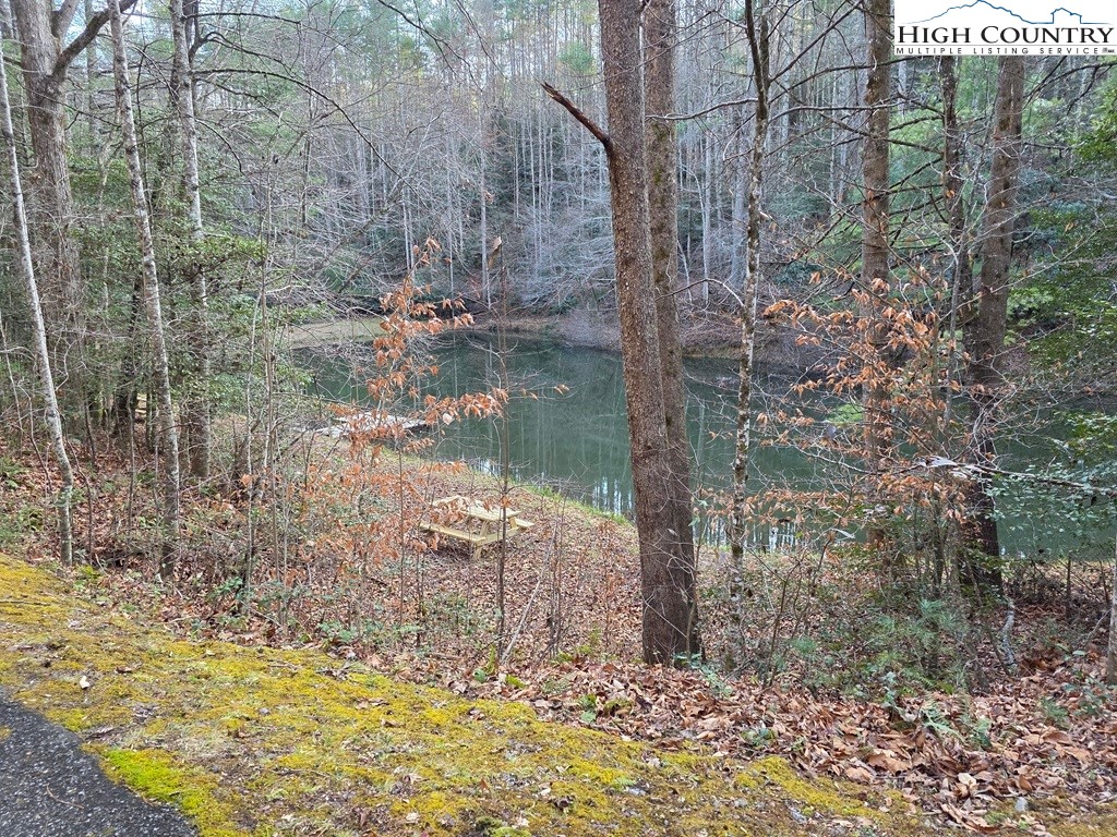 Lot 106 Holleridge Road Ferguson, NC 28624 - Photo 27 of 42 a backyard of a house with lots of green space