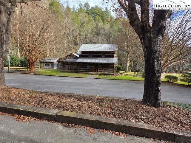 a view of a yard with large trees