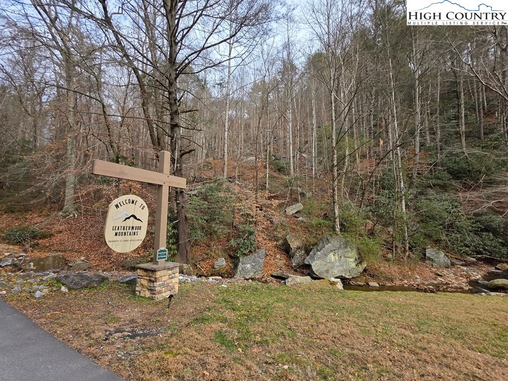 Lot 106 Holleridge Road Ferguson, NC 28624 - Photo 36 of 42 a area with lots of trees in the background