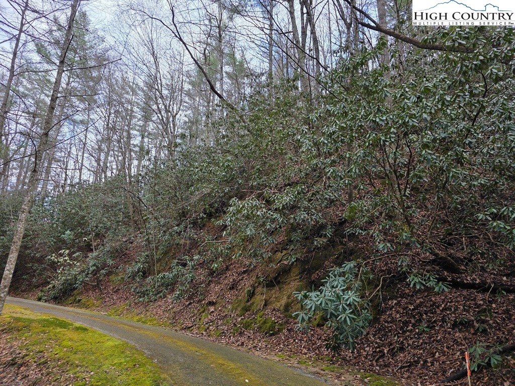 Lot 106 Holleridge Road Ferguson, NC 28624 - Photo 8 of 42 a view of a yard with large trees
