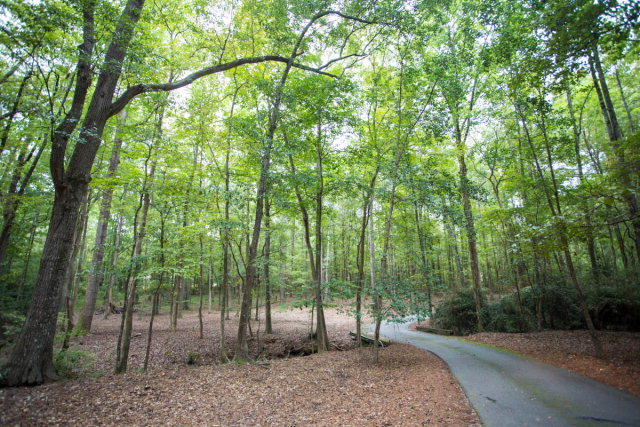 6781 Colaparchee Road Macon, GA 31210 - Photo 44 of 45 a backyard of a house with lots of green space