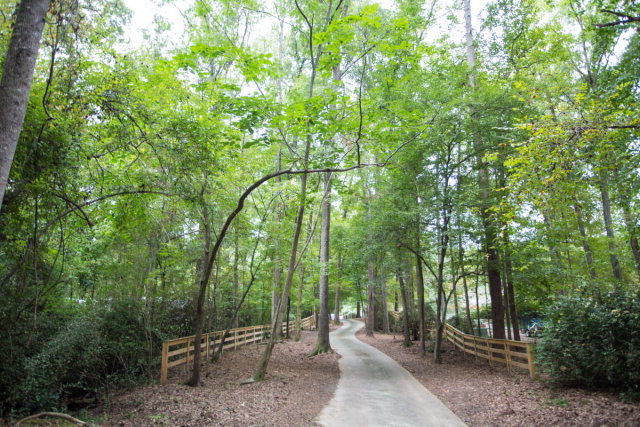 6781 Colaparchee Road Macon, GA 31210 - Photo 45 of 45 a backyard of a house with lots of trees