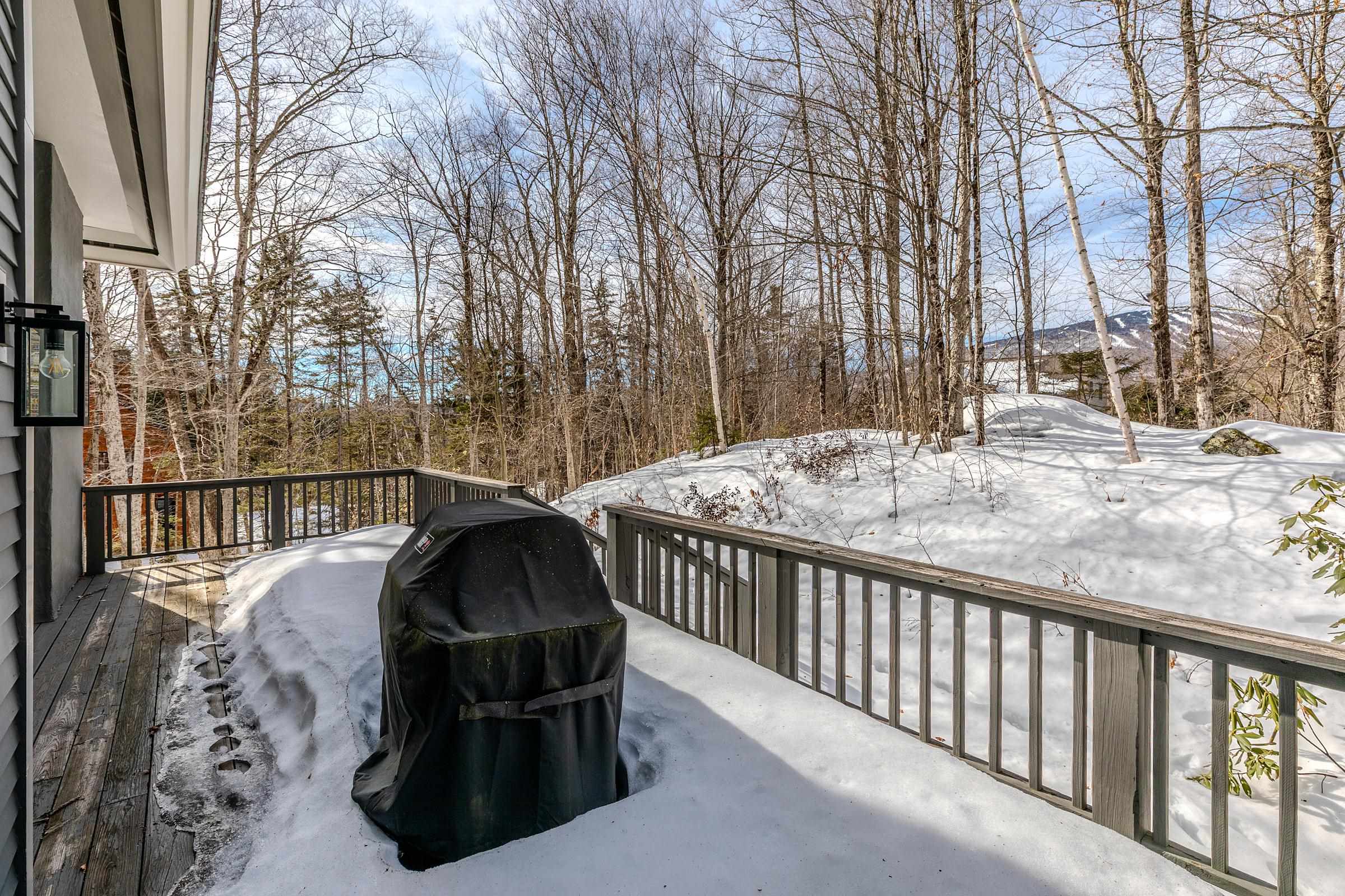 3 Linscott Road Winhall, VT 05340 - Photo 8 of 53