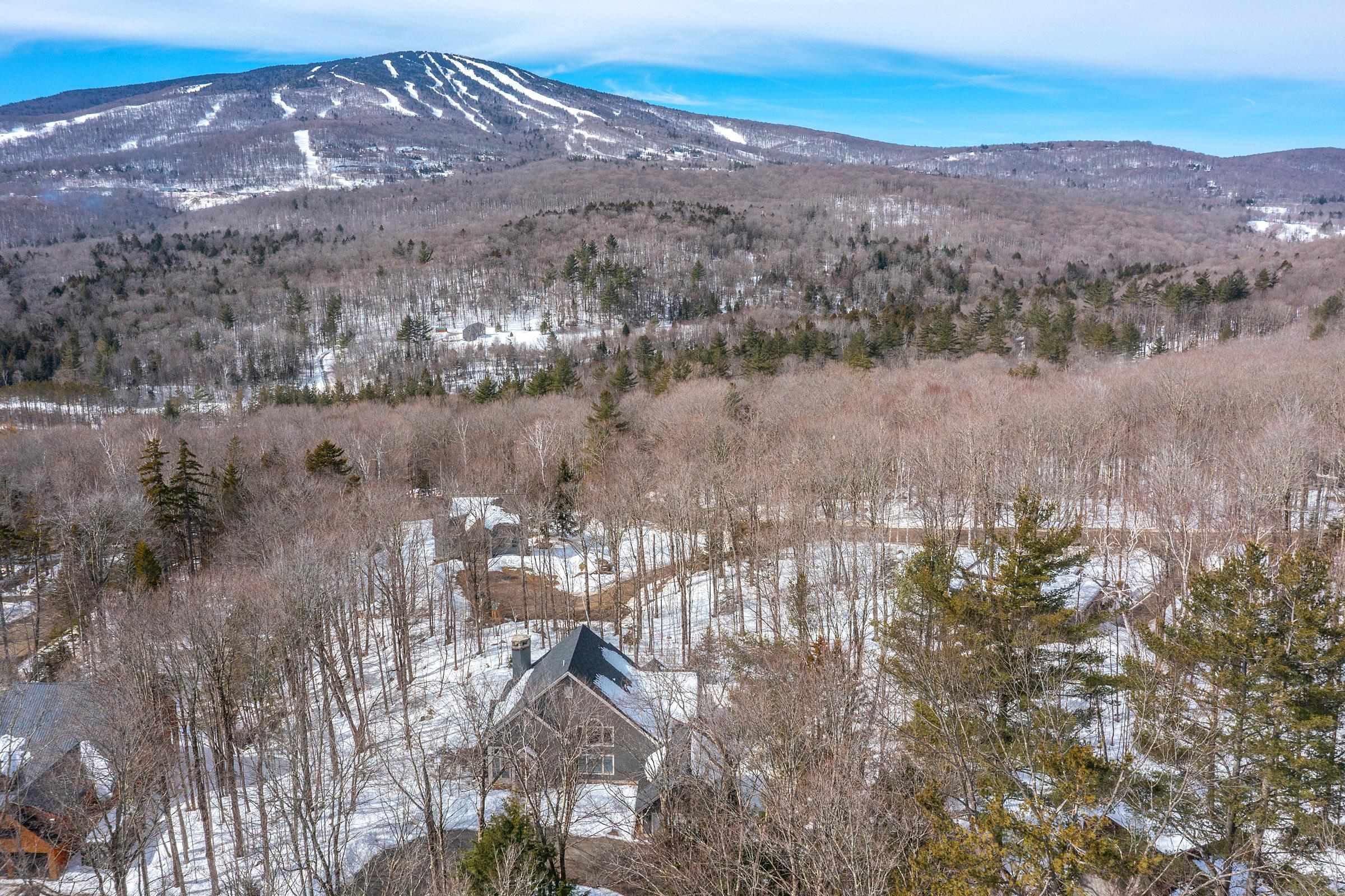3 Linscott Road Winhall, VT 05340 - Photo 10 of 53