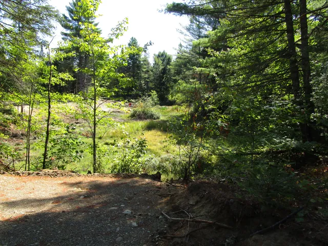 $60,000 | Lot 8 North A N North Howland Road, Howland, ME 04448