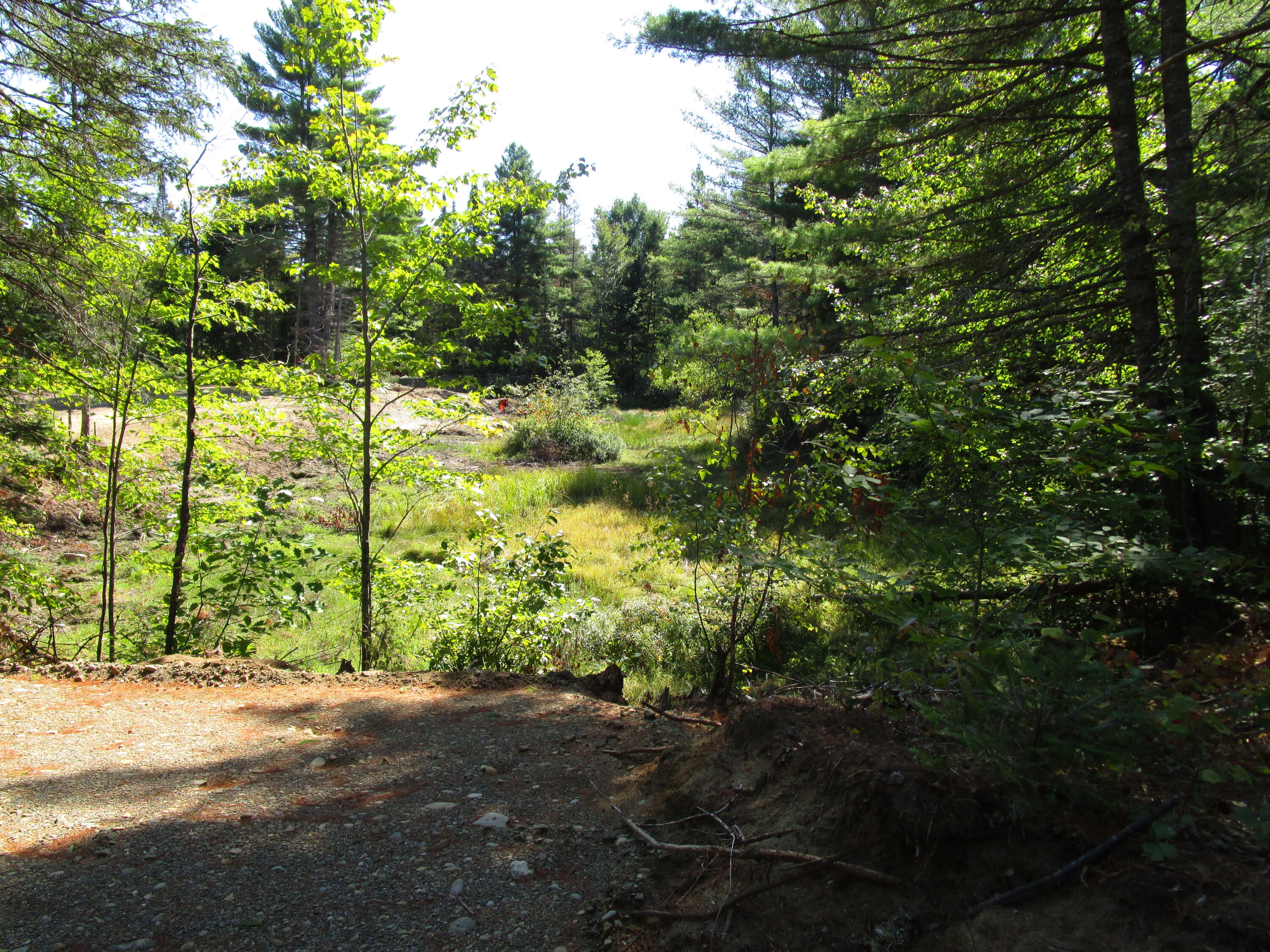 Lot 8 North A N North Howland Road Howland, ME 04448 - Photo 7 of 11 IMG_1355