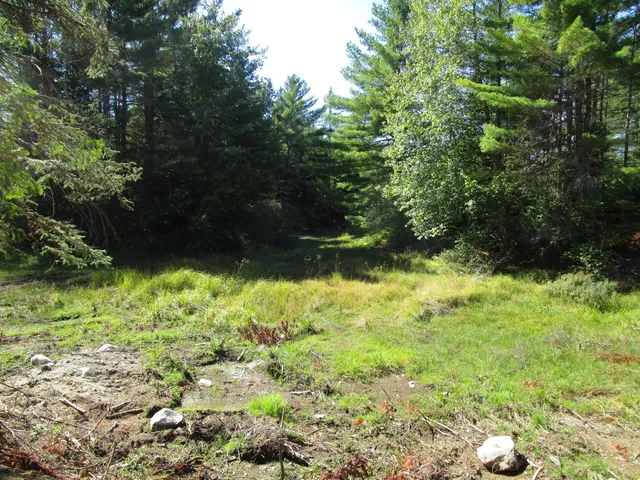 $60,000 | Lot 8 North A N North Howland Road, Howland, ME 04448