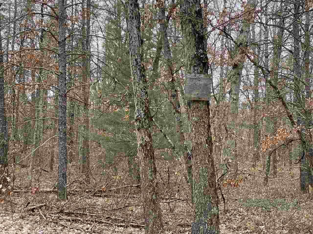 0 East Hoague Road Free Soil, MI 49411 - Photo 3 of 5