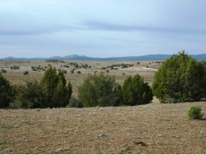 8101 Dillon Wash Road Prescott, AZ 86305 - Photo 8 of 10 Additional Photo