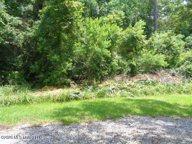 Wayne Lane Biloxi, MS 39532 - Photo 1 of 5 DSC06144