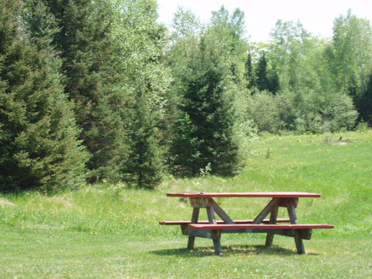 80137 Sinkhole Road Butternut, WI 54514 - Photo 20 of 56 Gallery Image 20