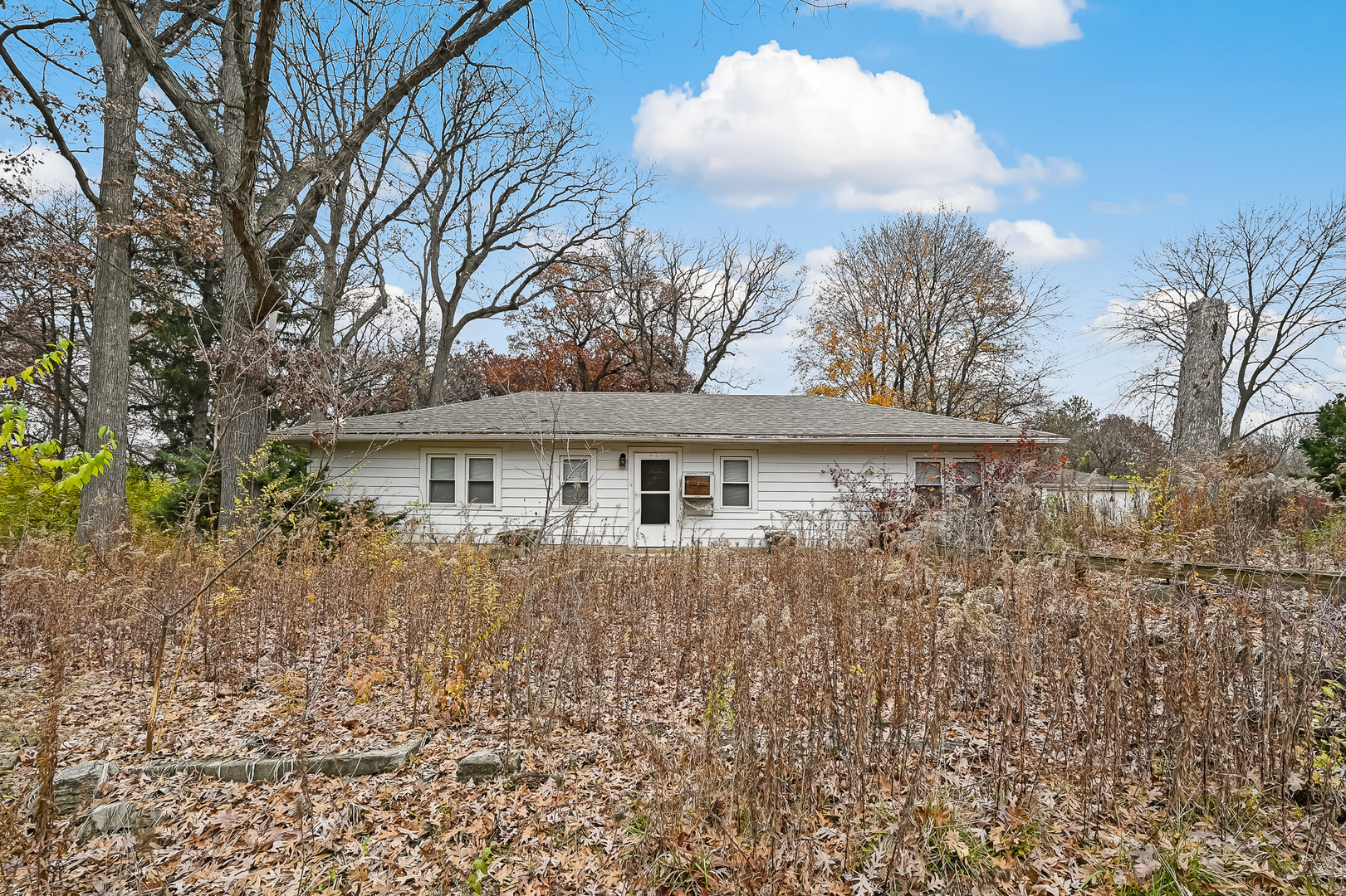 13740 Archer Avenue Lemont, IL 60439 - Photo 5 of 30 a front view of a house with garden