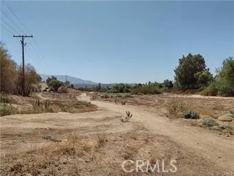 a view of a dry yard with trees in the background