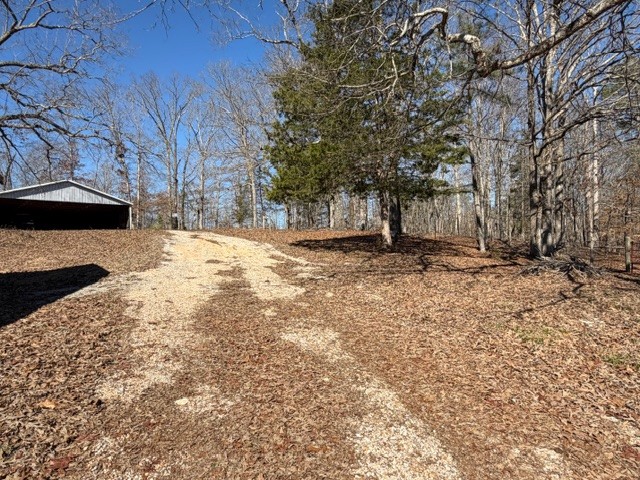 9554 Brooksie Thompson Road Bath Springs, TN 38311 - Photo 6 of 45 a view of empty space with large trees