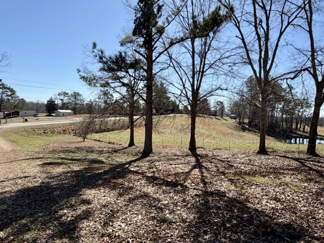 9554 Brooksie Thompson Road Bath Springs, TN 38311 - Photo 8 of 45 a view of a yard with a tree