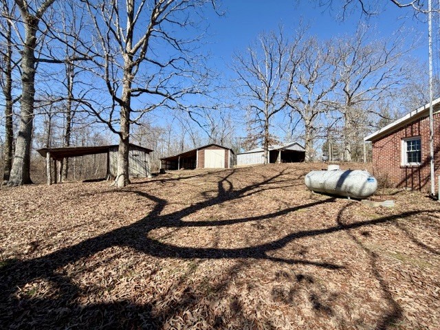 9554 Brooksie Thompson Road Bath Springs, TN 38311 - Photo 9 of 45 a view of a yard with a large tree