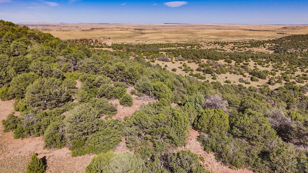 423 Trailsend Road Walsenburg, CO 81089 - Photo 49 of 51