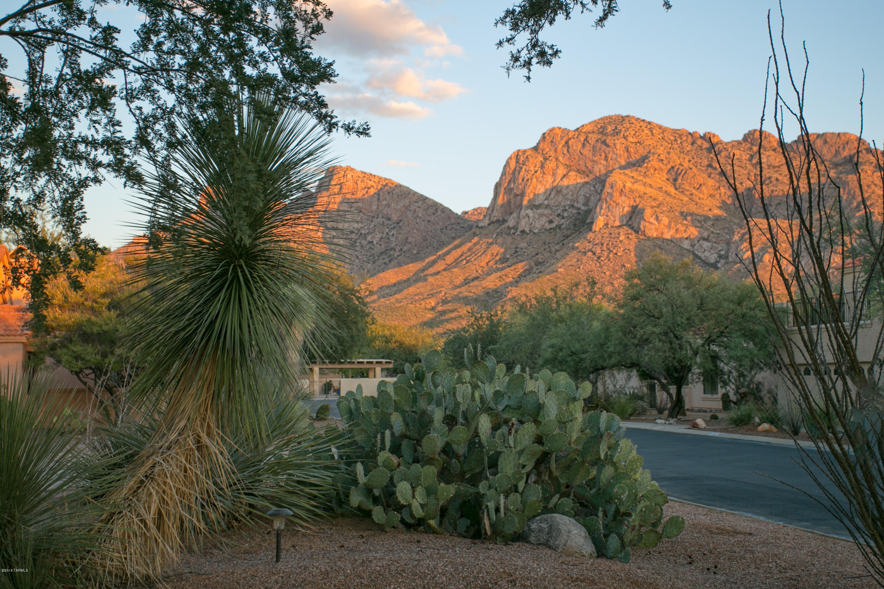 1 East Desert Sky Road, Unit 4 Tucson, AZ 85737 - Photo 5 of 34
