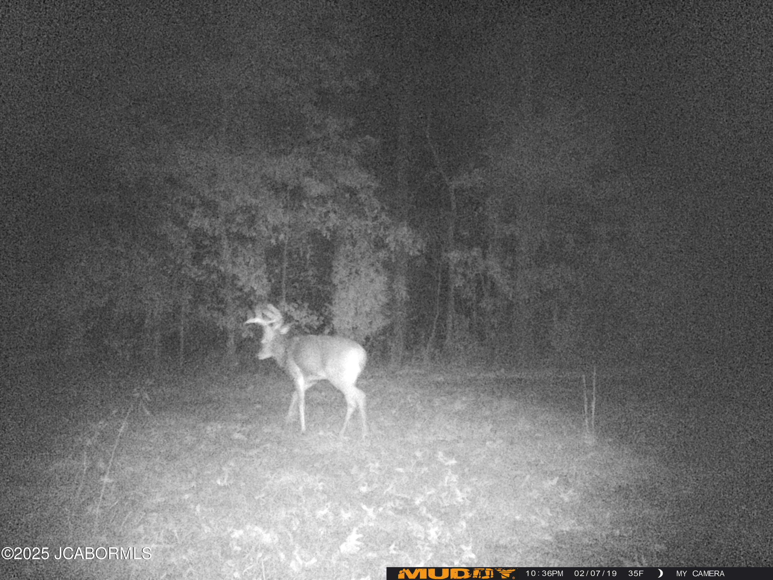 0 Callaway County Road Auxvasse, MO 65231 - Photo 15 of 16