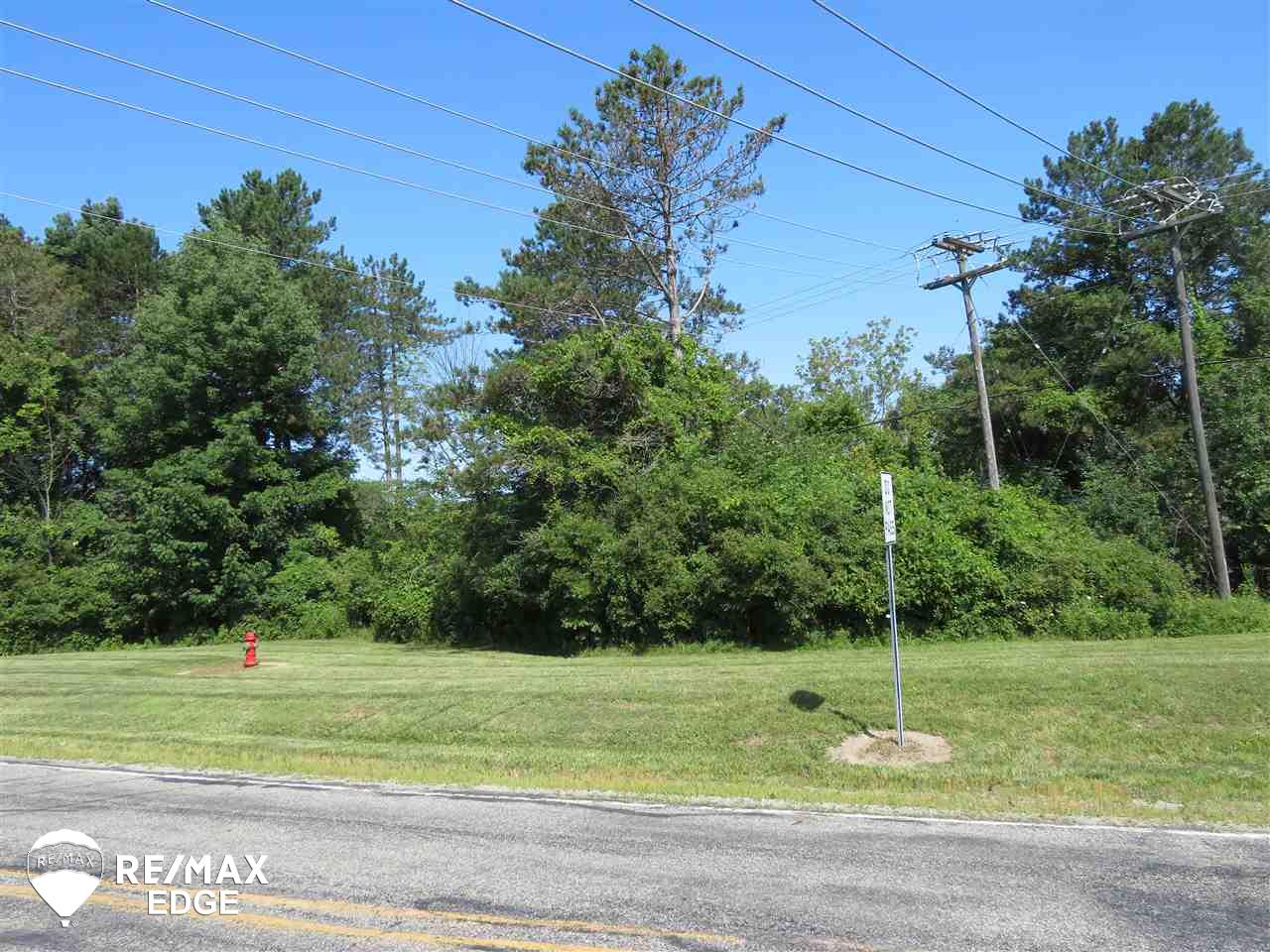 0 East Wilson Road Otisville, MI 48463 - Photo 3 of 3