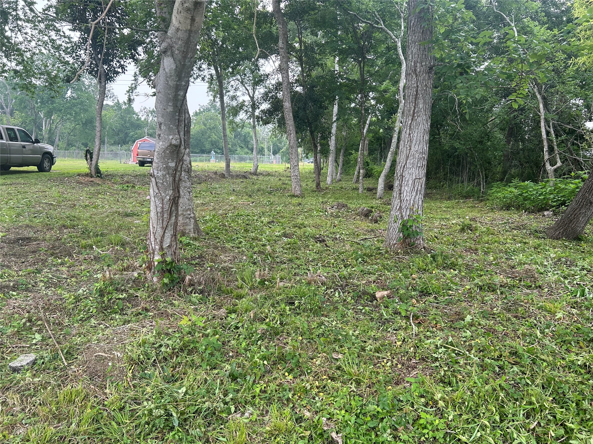 2523 Timber Drive Dickinson, TX 77539 - Photo 2 of 4 a view of a trees in a park