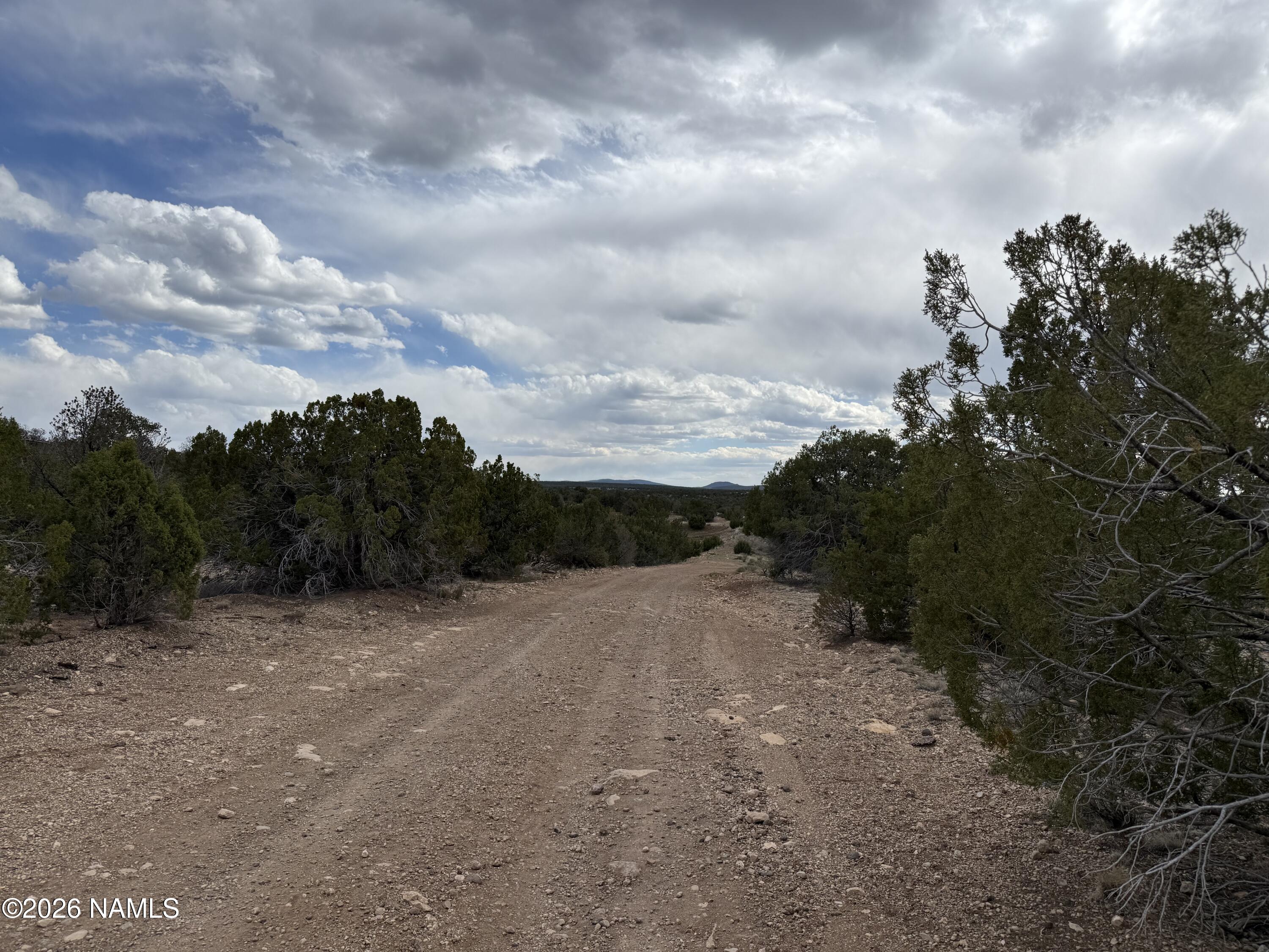 12581 North Chino Road Williams, AZ 86046 - Photo 1 of 15 IMG_5267