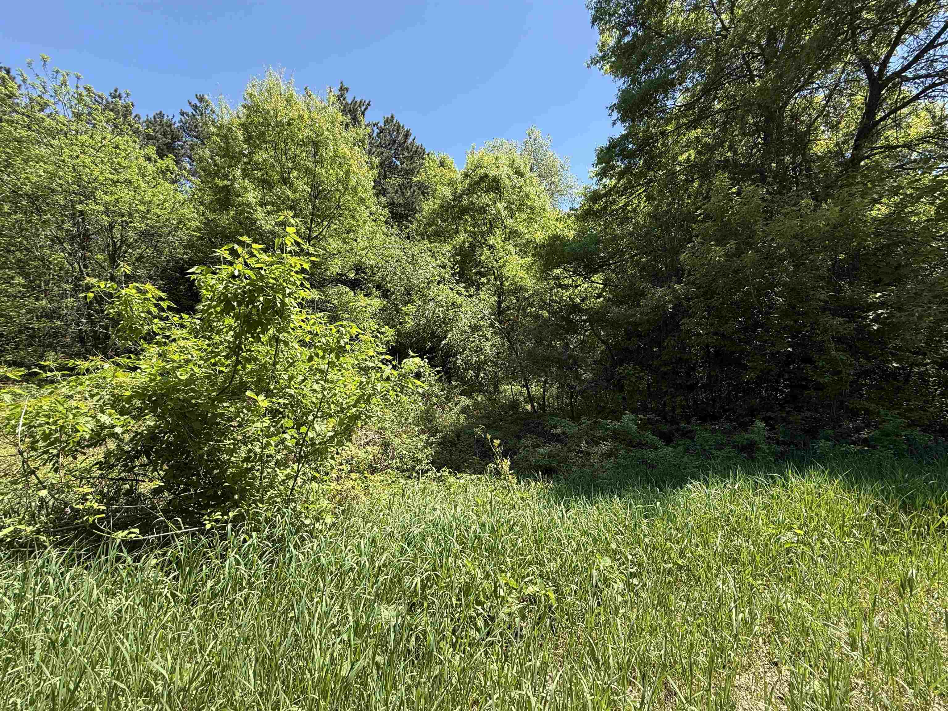 Lot 16 Arrowhead Road Amherst Junction, WI 54407 - Photo 1 of 17