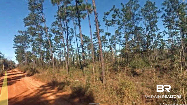8506 River Road North Foley, AL 36535 - Photo 4 of 4
