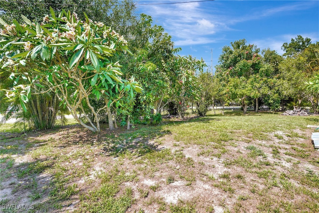 2153 Twin Brooks Road North Fort Myers, FL 33917 - Photo 30 of 31 a view of outdoor space with trees all around