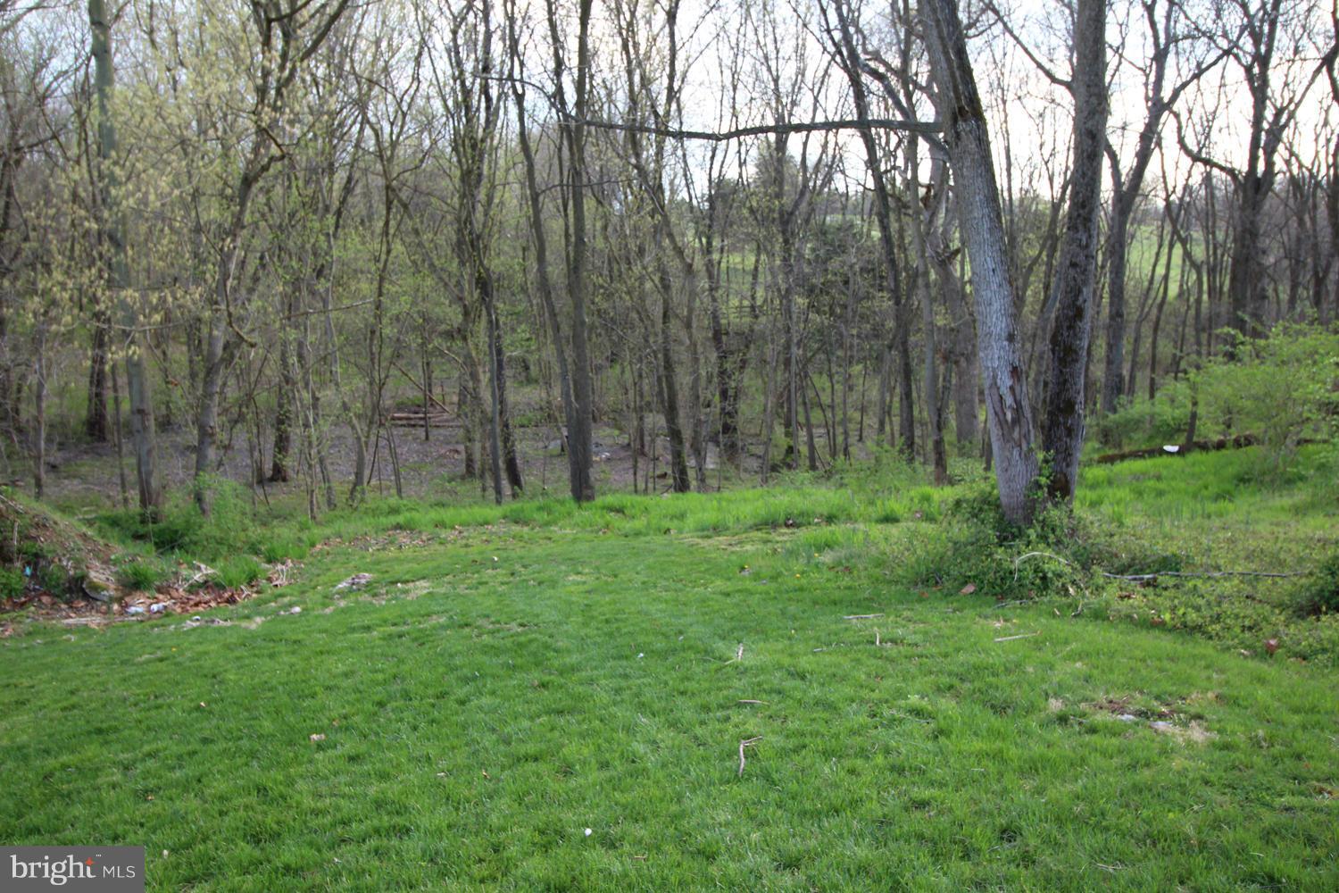 17319 Spielman Road Fairplay, MD 21733 - Photo 20 of 22 Lower portion is wooded