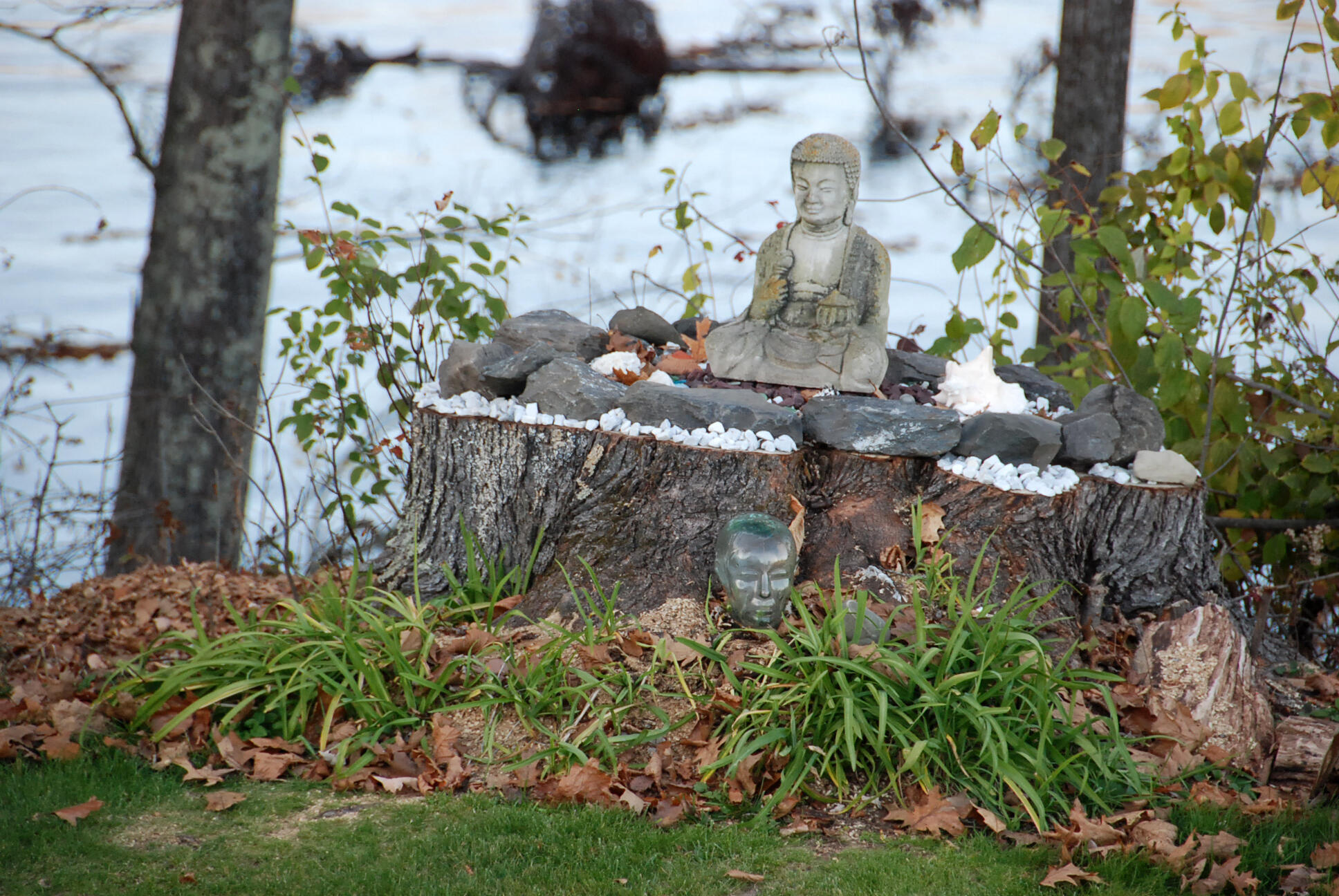 10 Chase Mill Road Limington, ME 04049 - Photo 147 of 155 tree buddha