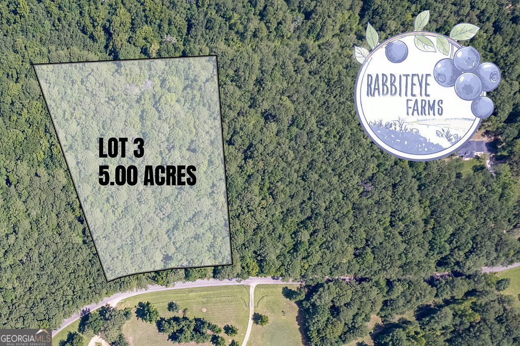 Lot 3 Haynes Road Moreland, GA 30259 - Photo 2 of 2 Gallery Image 2