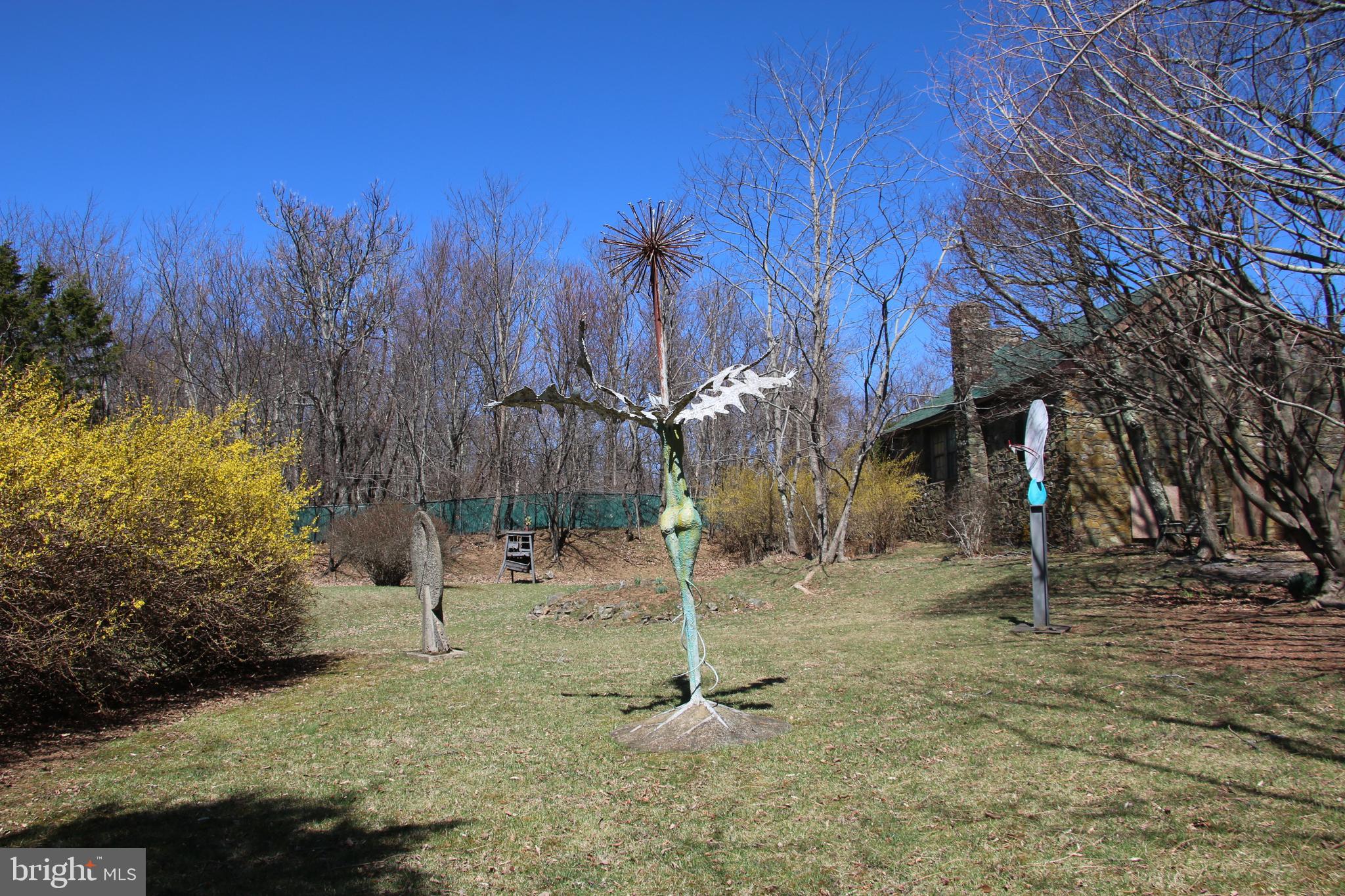 Ridge Road Stanley, VA 22851 - Photo 11 of 24 Gallery Image 11