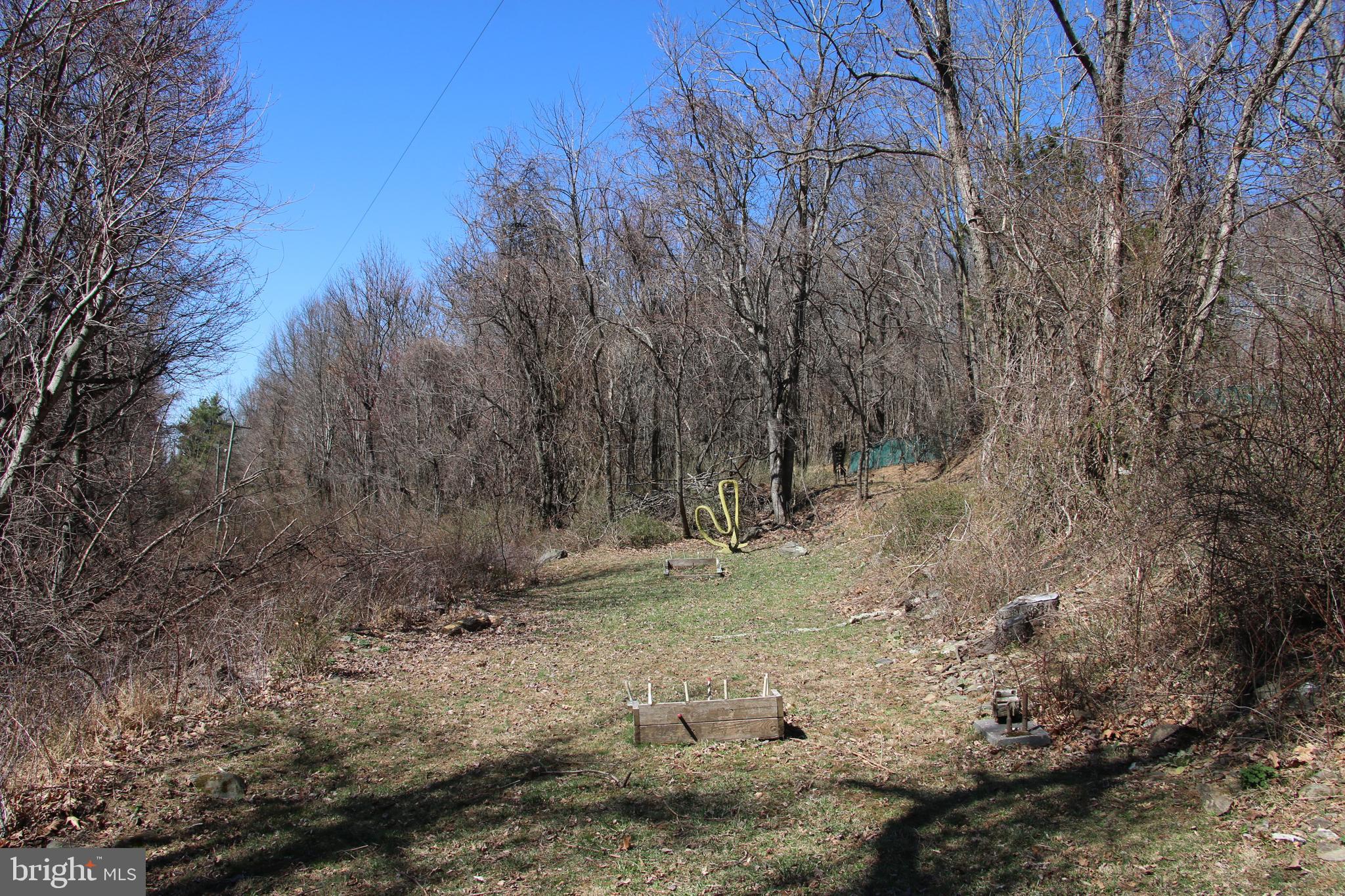 Ridge Road Stanley, VA 22851 - Photo 12 of 24 Gallery Image 12
