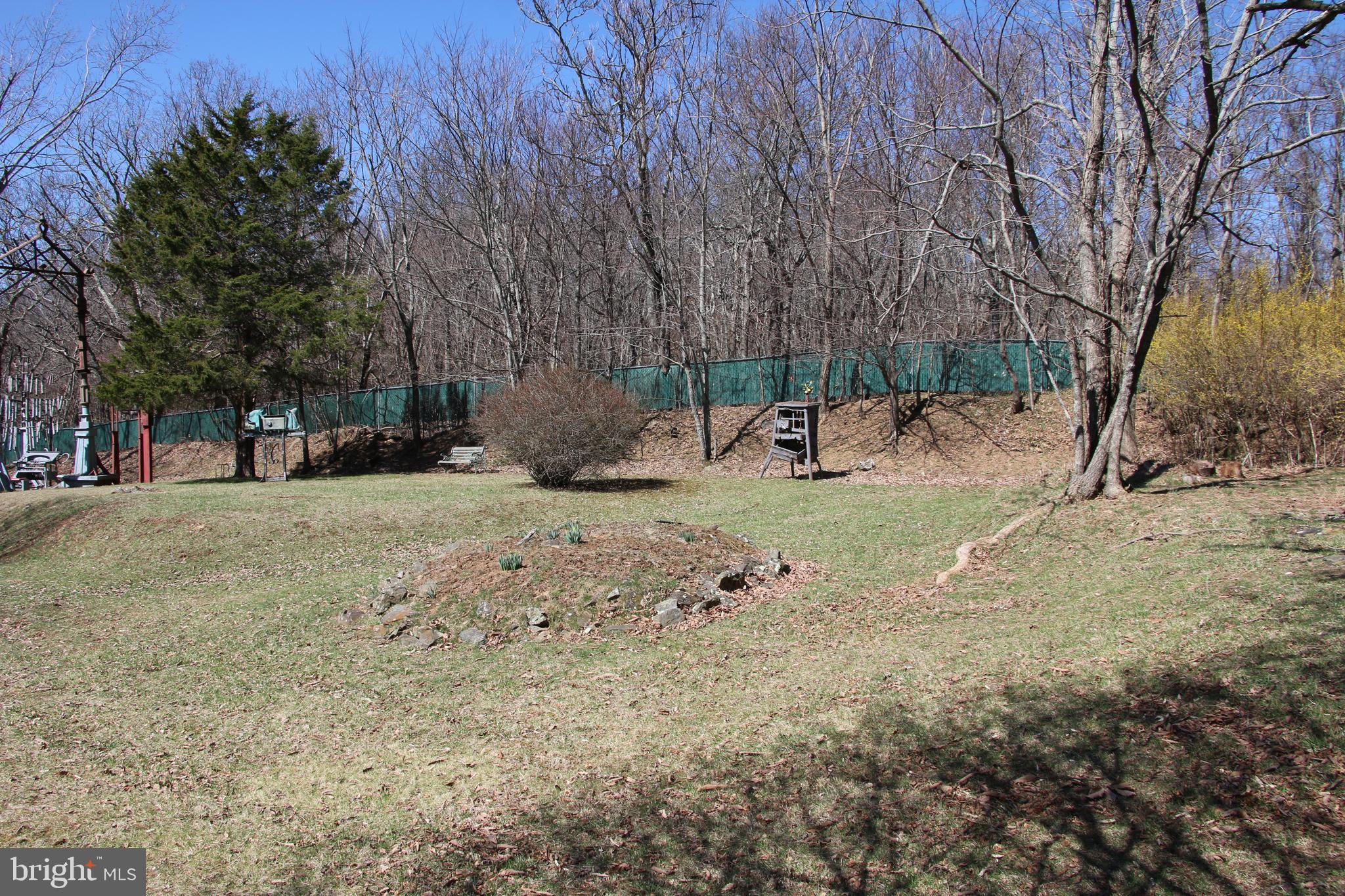 Ridge Road Stanley, VA 22851 - Photo 13 of 24 Gallery Image 13