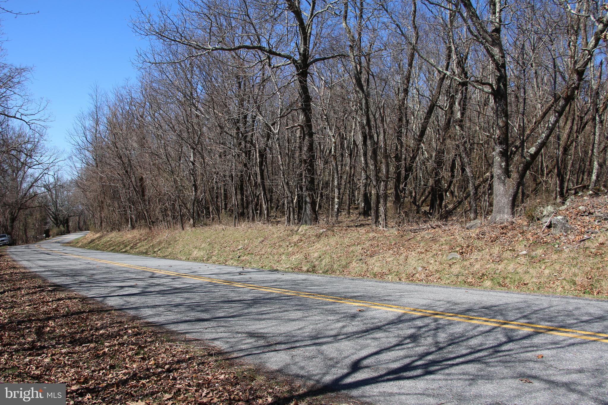 Ridge Road Stanley, VA 22851 - Photo 15 of 24 Gallery Image 15