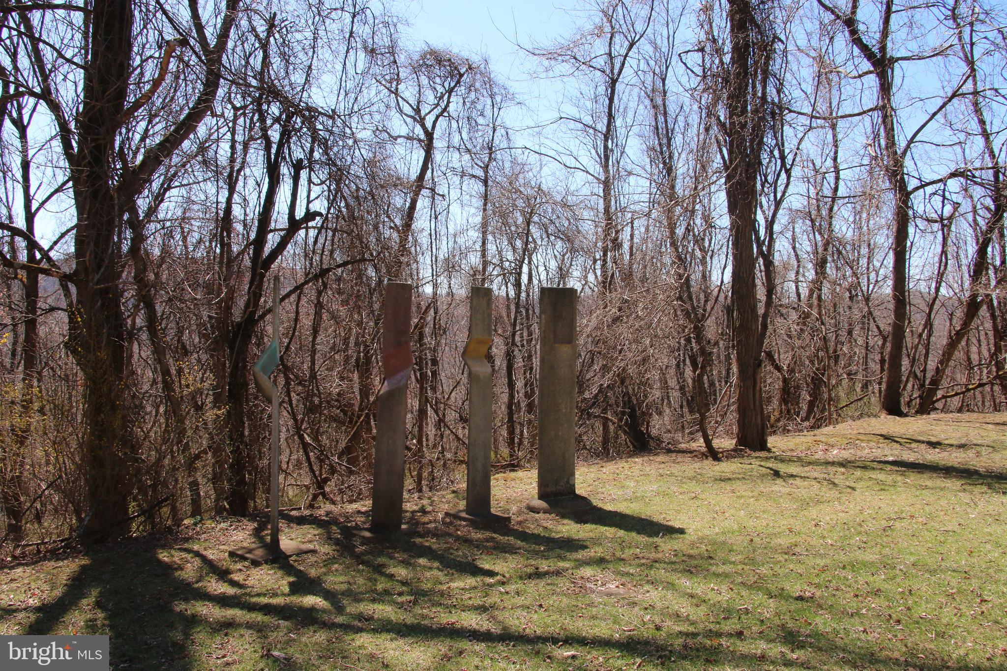 Ridge Road Stanley, VA 22851 - Photo 16 of 24 Gallery Image 16