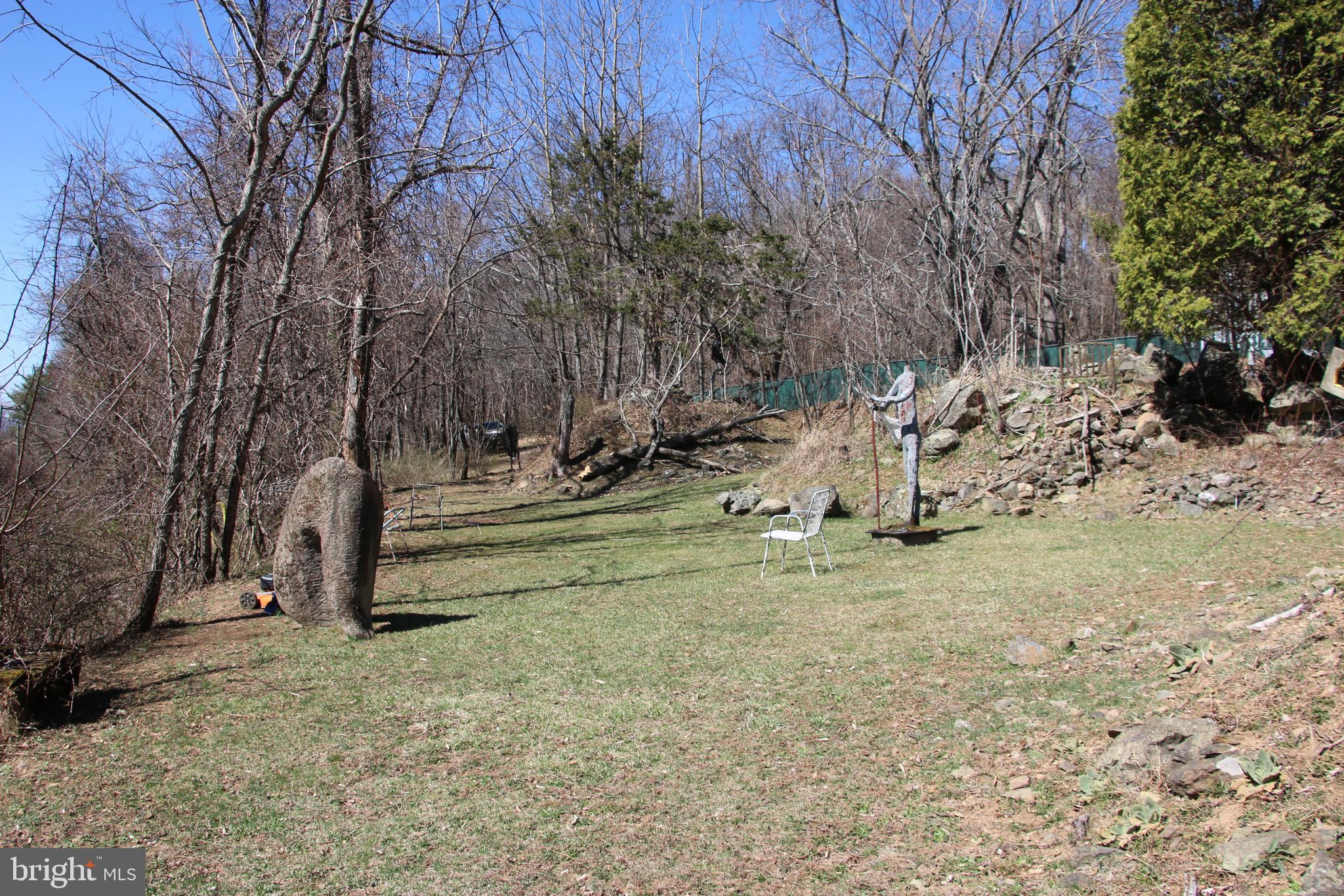 Ridge Road Stanley, VA 22851 - Photo 7 of 24 Gallery Image 7