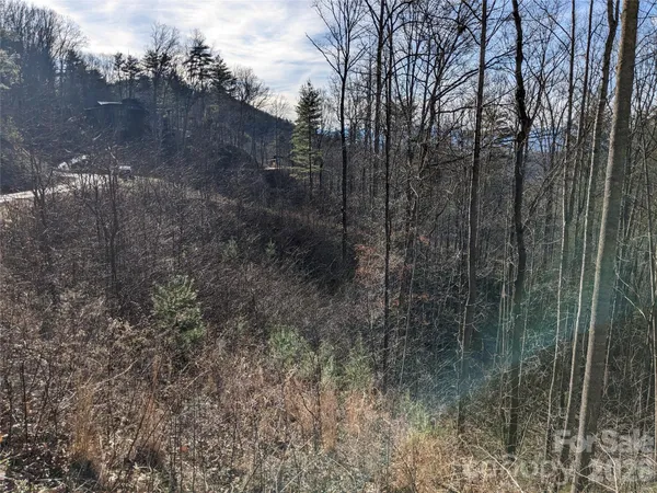 $60,000 | 27 Bent Branch Lane, Unit 10, Asheville, NC 28804