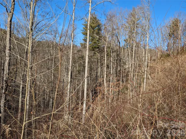 $60,000 | 27 Bent Branch Lane, Unit 10, Asheville, NC 28804