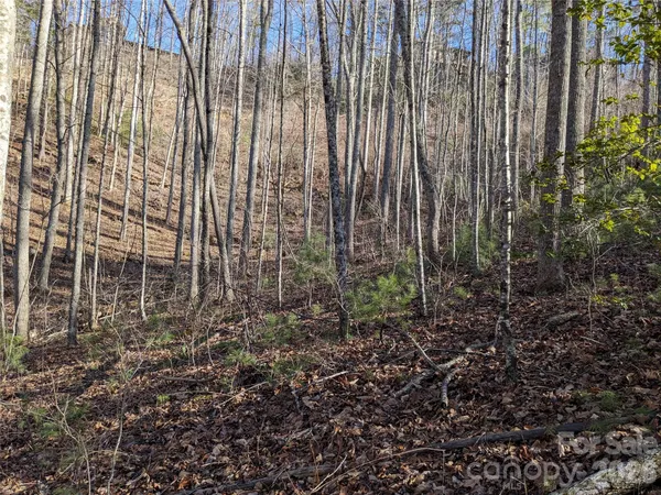 $60,000 | 27 Bent Branch Lane, Unit 10, Asheville, NC 28804