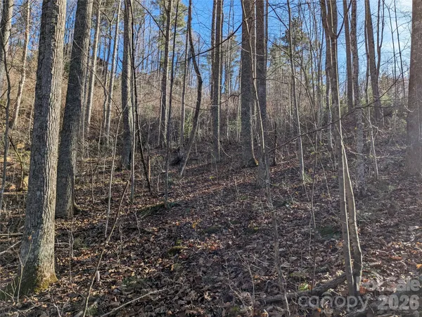 $60,000 | 27 Bent Branch Lane, Unit 10, Asheville, NC 28804