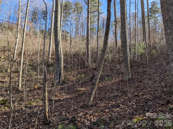 $60,000 | 27 Bent Branch Lane, Unit 10, Asheville, NC 28804