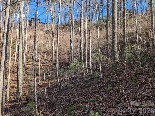 $60,000 | 27 Bent Branch Lane, Unit 10, Asheville, NC 28804