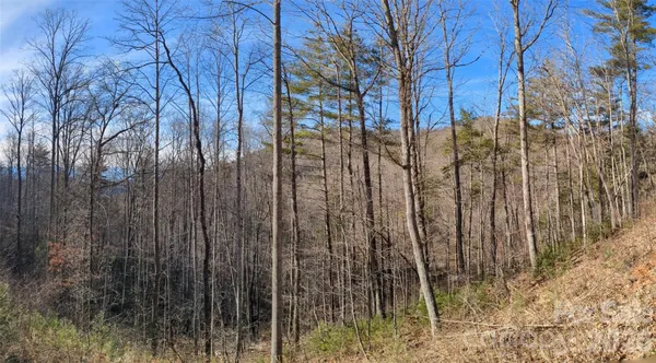 $60,000 | 27 Bent Branch Lane, Unit 10, Asheville, NC 28804