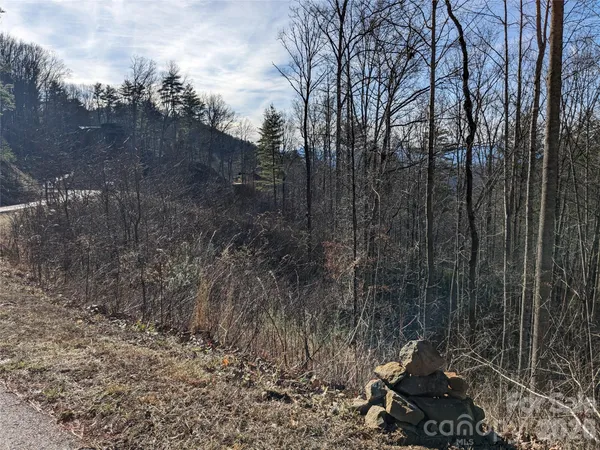 $60,000 | 27 Bent Branch Lane, Unit 10, Asheville, NC 28804