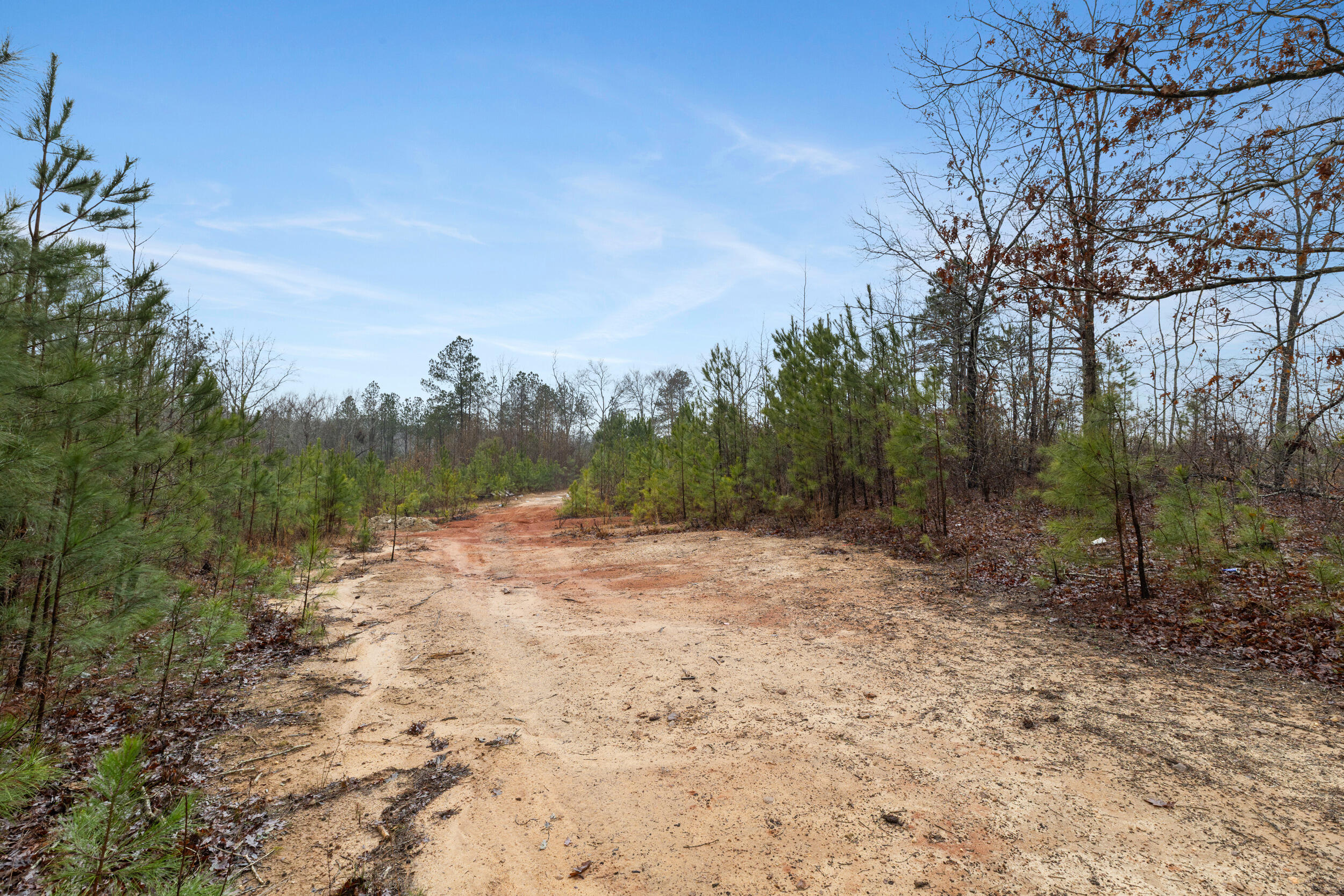 610 Forest Service Road Clarks Hill, SC 29821 - Photo 2 of 15 2026-02-05_forrest_service_rd-srm-02