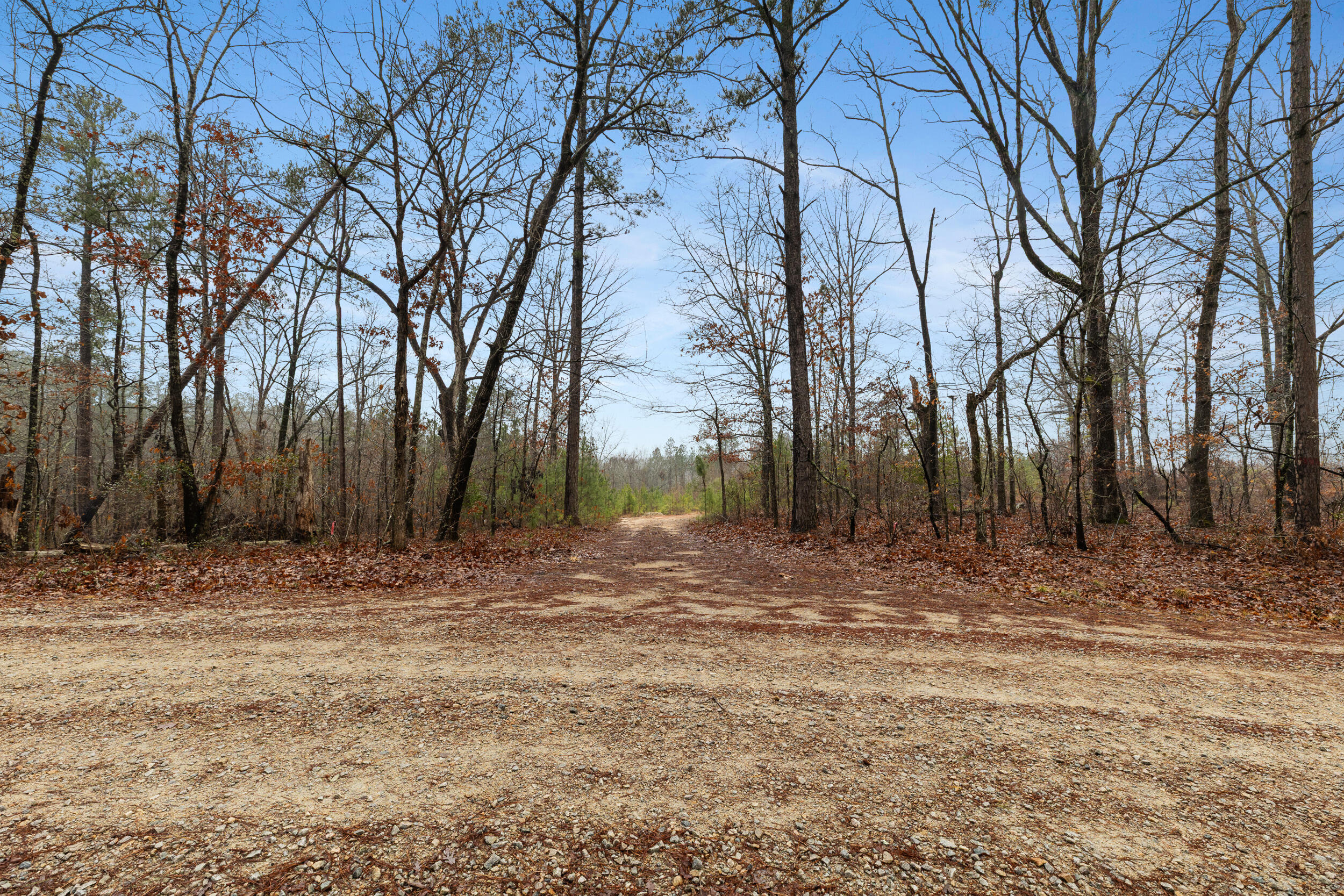 610 Forest Service Road Clarks Hill, SC 29821 - Photo 5 of 15 2026-02-05_forrest_service_rd-srm-05