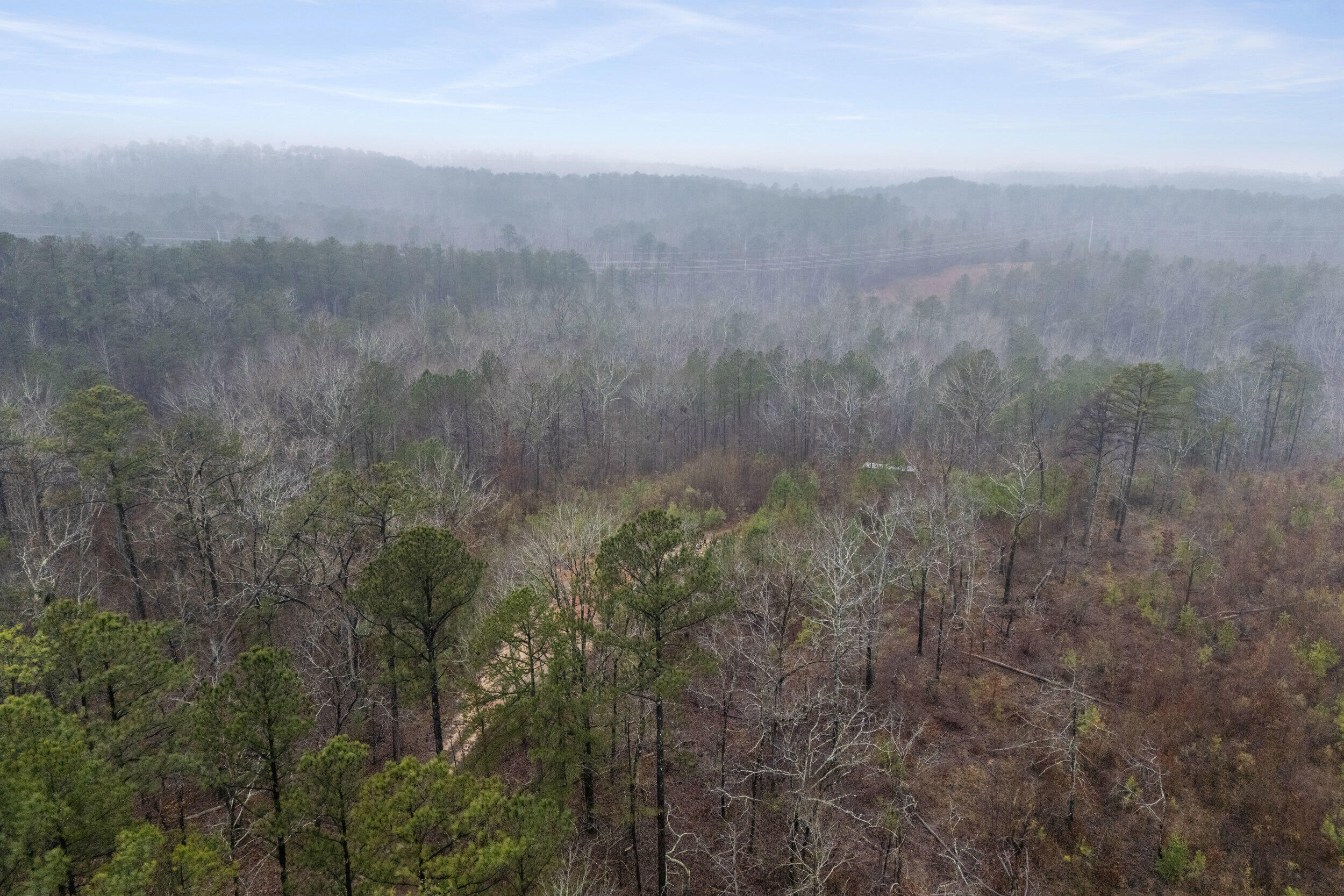 610 Forest Service Road Clarks Hill, SC 29821 - Photo 7 of 15 2026-02-05_forrest_service_rd-srm-07