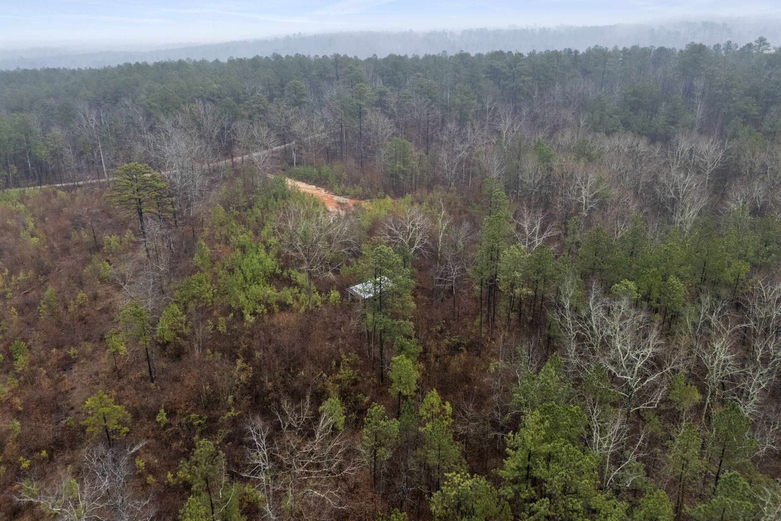 610 Forest Service Road Clarks Hill, SC 29821 - Photo 8 of 15 2026-02-05_forrest_service_rd-srm-08